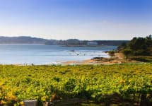 Blanquito Coast Winery Image
