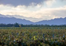 El Enemigo El Enemigo Winery Image