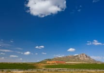 Bodegas Venta La Vega Almansa Winery Image