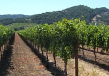 Heritance Winery Image