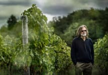Marco Felluga Roberto Felluga  Winery Image