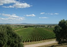Prelius Cabernet National Park and Tirrenean Sea Winery Image