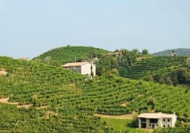 Avissi Avissi italy Winery Image
