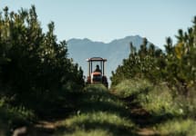 Botanica Wines Botanica Wines Harvest Winery Image