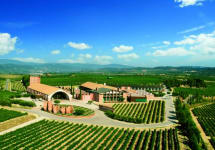 Juve & Camps The Winery Winery Image