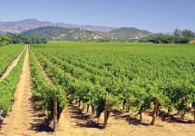 RouteStock Winery Image