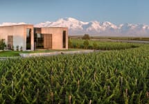 Vina Cobos The Winery in Mendoza Winery Image