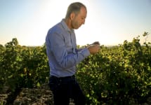 Chateau Saint-Roch Jean-Marc Winery Image