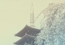 Tozai Kyoto Winery Image