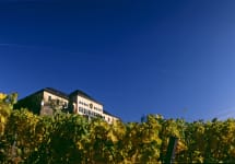 Schloss Johannisberg Schloss Johannisberg Estate Winery Image