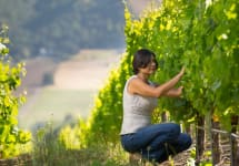 Matanzas Creek Winery Winemaker Marcia Torres Forno Winery Image
