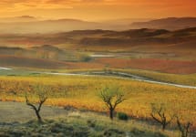Bodegas Nekeas Winery Image
