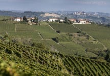 Coppo Canelli Vineyard Winery Image