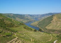 Ramos Pinto Ramos Pinto Douro Valley Winery Image