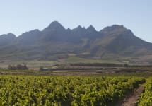 The Winery of Good Hope Helderberg for the Vineyards Winery Image