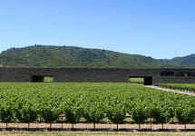 Dominus Estate Dominus Estate in Yountville Winery Image