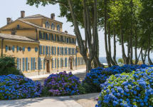 Chateau d'Esclans Chateau d'Esclans Winery Image