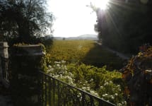 Terrunyo Pirque Viejo Vineyard Winery Image