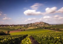Le Petit Silex  Winery Image