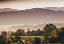 Domaine Laroque Laroque Vineyard in the Morning Winery Image