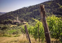 Fattoria di Grignano Fattoria di Grignano Estate Winery Image