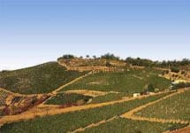 Terredora di Paolo Winery Image