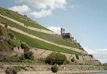 Montecastro Winery Image