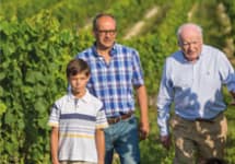 Georges Vigouroux Winery Image