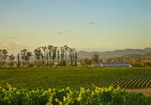 Starmont Winery Image