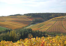 Champagne Palmer Winery Image