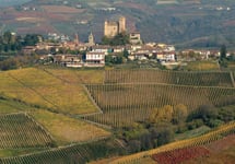 Gaja Sperss Vineyard Winery Image