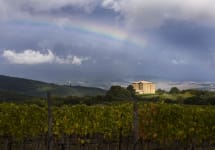 Castello Romitorio Castello Romitorio Winery Image