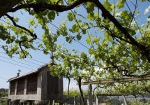 Paco & Lola The Winery Winery Image