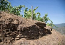 Bodegas Avancia Winery Image