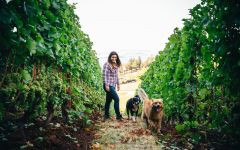 Adelsheim Kelli Gregory, Vineyard Manager Winery Image
