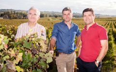 Chateau Saint-Andre Corbin The Saby Family Winery Image