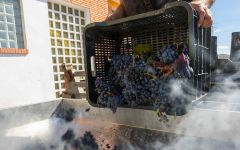 Bodegas Breca Winery Image