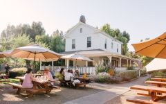 Cline Cline Tasting Room Winery Image