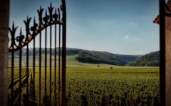 Faiveley Winery Image