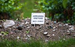 Catena Zapata Adrianna Vineyard Winery Image