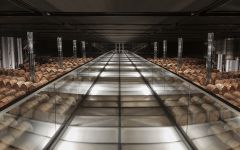 Les Pagodes de Cos 2016 | Laguna Cellar - Bordeaux & Beyond