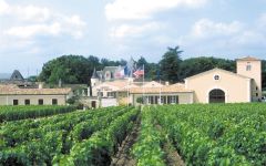 Chateau Haut-Brion 1988 | Wine.com Chateau Haut-Brion 1988 | Wine.com