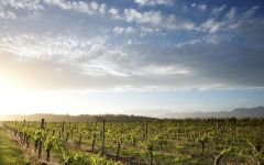 Spy Valley Johnson Estate Vineyard Winery Image