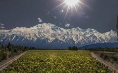 Catena Zapata Vineyards at High Altitude Winery Image