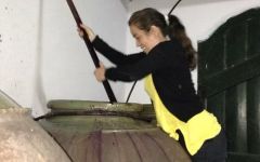 Herdade do Rocim Winery Image
