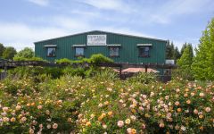 Dutton-Goldfield Dutton Goldfield Winery Winery Image
