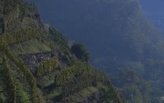 Nino Negri Winery Image