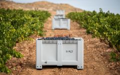 Bodegas y Vinedos Ilurce  Winery Image
