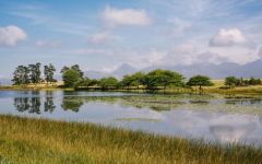 Paul Cluver Winery Image