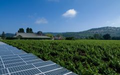Frog's Leap Solar Panel on the Estate Winery Image